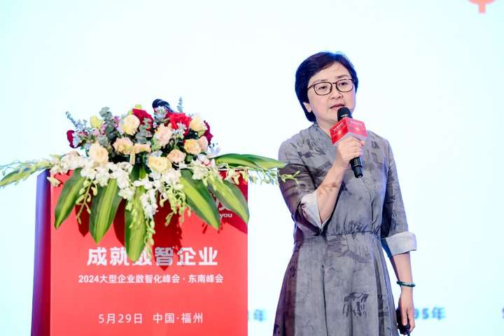 成就数智企业！2024大型企业数智化峰会走进福州(图2)