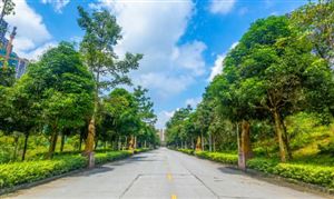 2024年智慧社区建设行业政策环境及发展现状分析(图3) 2024年智慧社区建设行业政策环境及发展现状分析(图3)